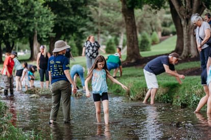 Children and adults exploring Stauffer Run at Greenfield for Water Week in 2025